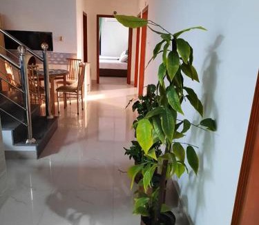 Loralai District Hotel | Sultan Executive Hotel