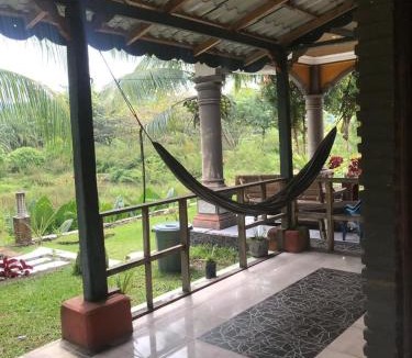Bohorok House | Sumatra Cheeky Monkeys