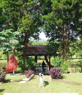Bohorok House | Sumatra Cheeky Monkeys