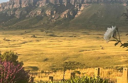Harrismith Apartment | Summer House