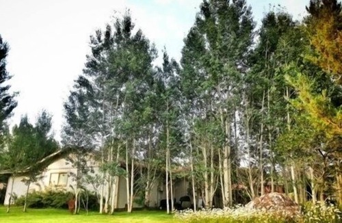 Carbondale House | Summer special! Cozy 4 Bedroom Mountain Retreat