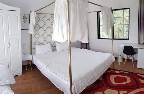 Capital Hill House | Summer Stay