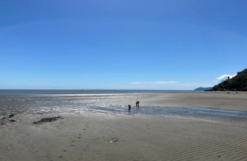Rangihaeata Bed & Breakfast | Summerspring Beachfront Accommodation