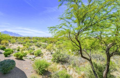 Rancho Vistoso House | Sun Daze