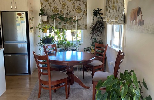 Meeanee Cottage | Sun Soaked Cottage on Lifestyle Block close to Town