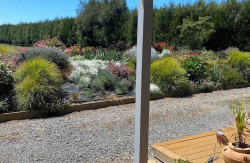 Meeanee Cottage | Sun Soaked Cottage on Lifestyle Block close to Town