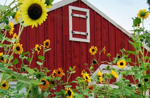 Moab Bed & Breakfast | Sunflower Hill Inn