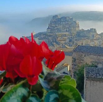 Matera Apartment | Sunflower Rose