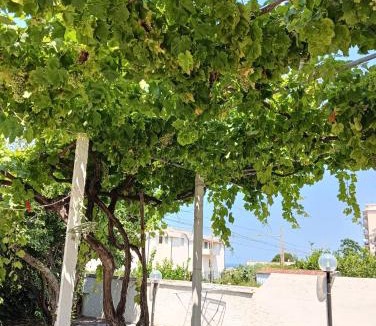 Belvedere Marittimo House | SunFra Retreat