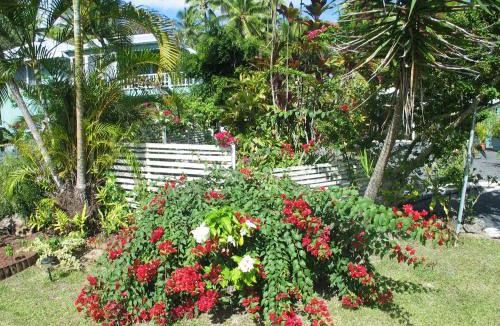 Arorangi Resort | Sunhaven Beach Bungalows