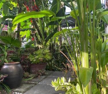 Hoi An House | Sunny Garden Homestay