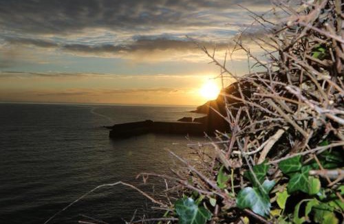 Gorran Haven House | SunnyVale Valley View Cottage