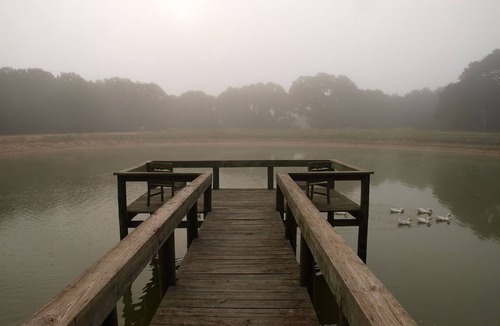 Cat Spring Cabin | Sunset Pond Private Cabin with Private Hot Tub & options to experience our Texas Safari!