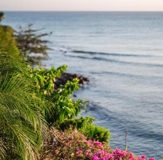 Challengers Hotel | Sunset Reef St. Kitts
