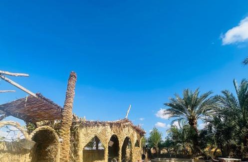 Siwa Other | Sunset Tree Camp