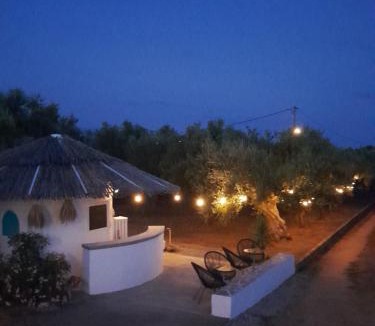 Messini House | Sunsets and Olive Trees