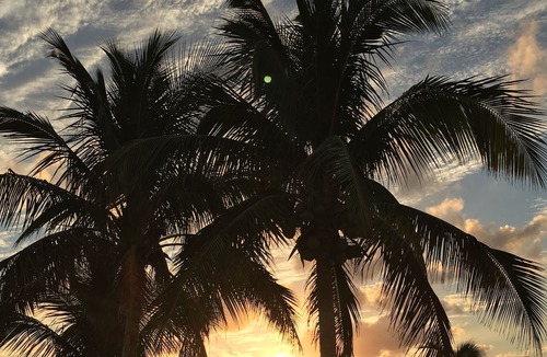 Bahamas Terrace Condo | Sunsets and sunshine. Bahamas Paradise 🏝🇧🇸💗