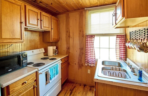 Statts Mills Cabin | Sunshine cabin-Charming 1-bedroom Lakefront with Heat/AC