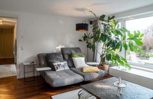 Hohentengen am Hochrhein Apartment | Sunshine River Flat