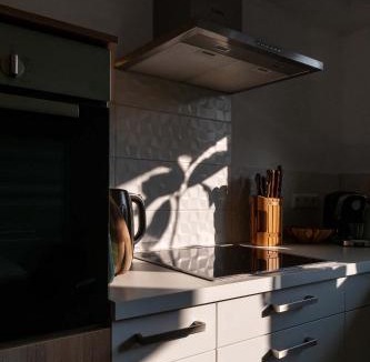 Hohentengen am Hochrhein Apartment | Sunshine River Flat
