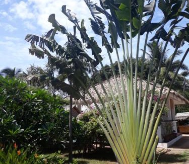 Lamai Hotel | Sunya Cottage