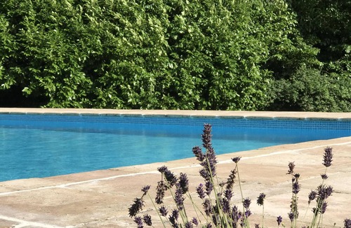 Saint-Martin-aux-Chartrains Villa | Superb Villa with pool, near Deauville former cider mill