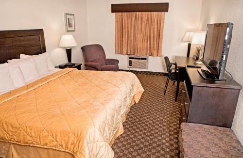 Calgary Hotel | Super 8 by Wyndham Calgary/Airport