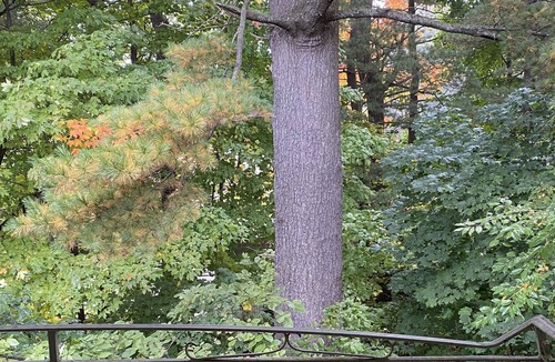 Framingham Condo | Super nice one bedroom condo with 20 minutes driving to Boston