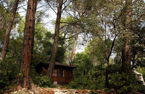 Tarascon Villa | Superb Florida villa in the heart of the Alpilles