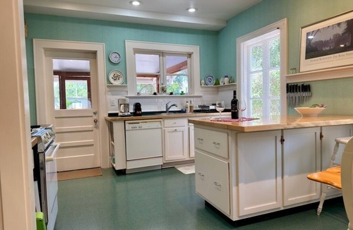 Dunedin House | Superb location historic home- spacious, bright, and quiet, yet downtown!