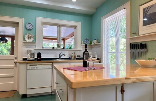 Dunedin House | Superb location historic home- spacious, bright, and quiet, yet downtown!