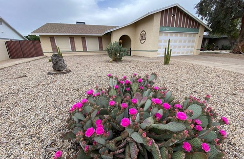 North Mountain House | Superb Value for the Money in Heart of Phoenix Metro Area
