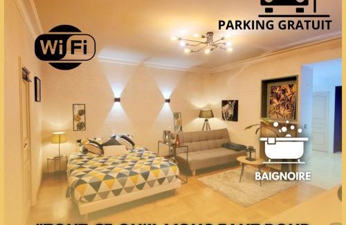 Graulhet Apartment | Superbe Appartement Calme et Spacieux balcon et clim