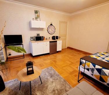 Graulhet Apartment | Superbe Appartement Calme et Spacieux balcon et clim