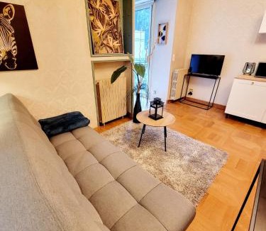 Graulhet Apartment | Superbe Appartement Calme et Spacieux balcon et clim