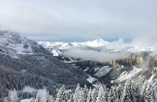Avoriaz Apartment | Superbe duplex 4 pièces pour 10 pers. à Avoriaz avec accès skis aux pieds - FR-1-314-122
