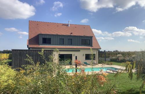 Pfaffenheim House | Superbe Villa Jacuzzi & Piscine au cœur des vignes