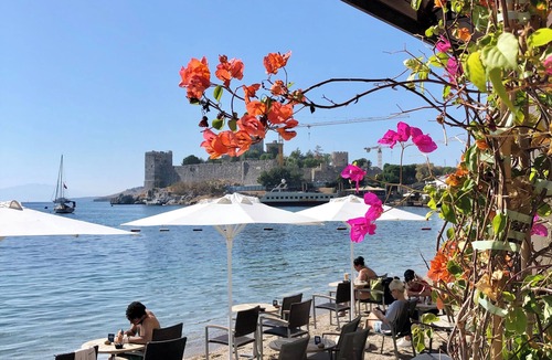 Bodrum City Center Apartment | Surfer Caravan Gastro Pub and Suites