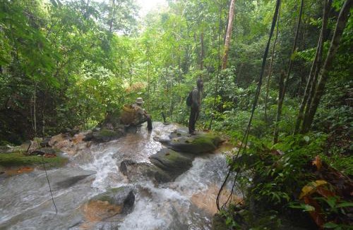 Baru Other | Survival Trip Leuser Eco Stay