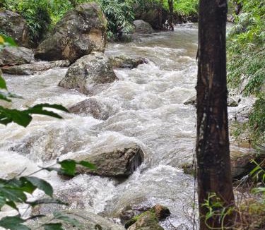 Udumbanchola Apartment | Suryas Home Stay