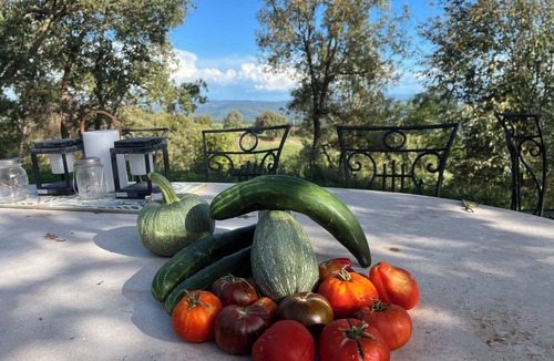 Rosennano Villa | Sustainable, Chianti Villa: Private Pool, Breathtaking Views & 2.5-Acre Garden,