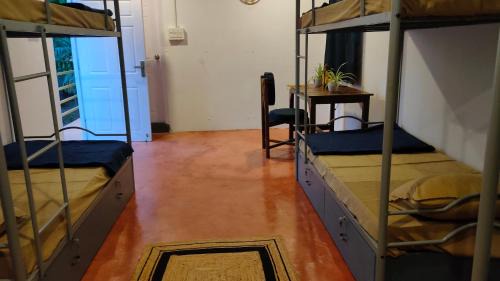 Arambol Hostel | Svabodha Hostels