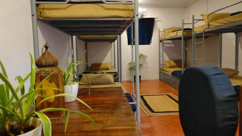 Arambol Hostel | Svabodha Hostels