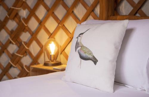 Hawes House | Swallow