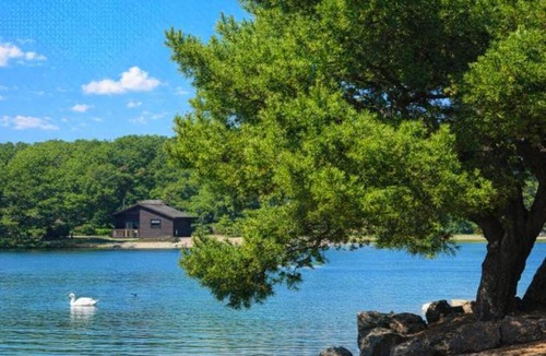 Tewitfield Apartment | Swanmere lodge, Lakeside view Pinelake Carnforth