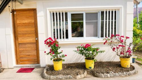 Masbate City Apartment | Sweden's Tiny House walking distance Gaisano Mall, Masbate City