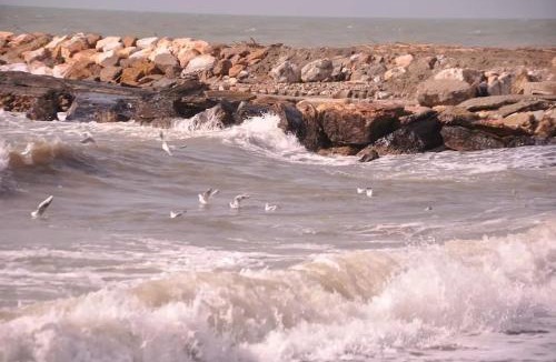 Marina di Cecina Apartment | Sweet Cecina Mare