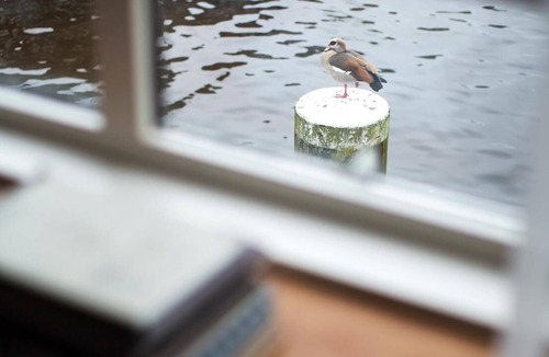 Amsterdam West Apartment | SWEETS - Kinkerbrug