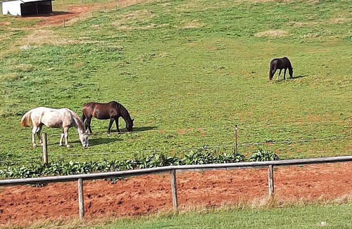 Sweetwater House | Sweetwater Stables & Farm