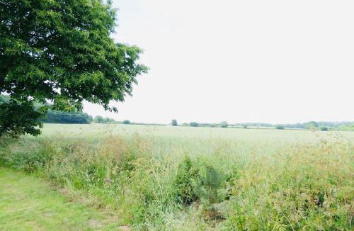Felbrigg Other | Swift